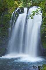 Closeup of Majestic Falls waterfall cascading over mossy rocks in McDowell Park, Oregon © wishfaery14