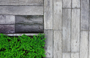 wood texture for background