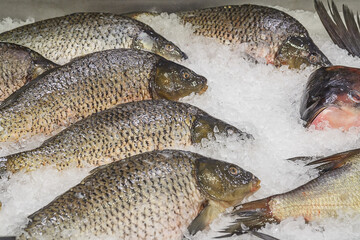 Obraz premium Bream chilled. The fish is prepared for sale in the supermarket.