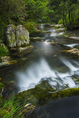 Fototapeta premium River with waterfall in the middle of the mountain