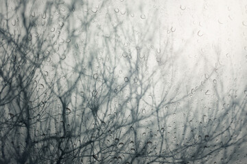 Abstract of  bare branches,view through the window on rainy day.Selective focus.