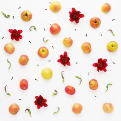 Fruit pattern of apples on a white background. Food background. Composition of fruits and flowers.