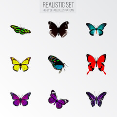 Fototapeta na wymiar Realistic Green Peacock, Purple Monarch, Butterfly And Other Vector Elements. Set Of Moth Realistic Symbols Also Includes Black, Butterfly, Red Objects.