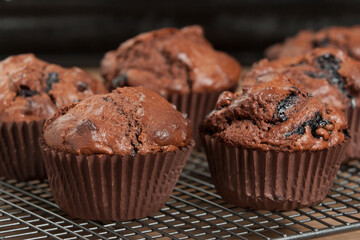 Home Baked Blueberry Chocolate Muffins.