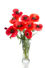 Bouquet of poppies in glass vase isolated on white background
