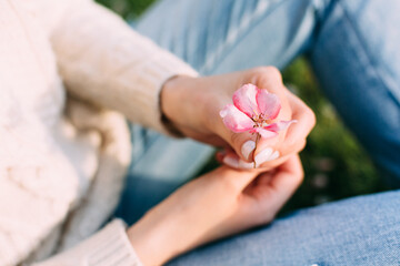 Female hands with neutral manicure holding an apple tree pink flower. Outdoors, spring.