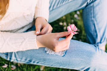 Female hands with neutral manicure holding an apple tree pink flower. Outdoors, spring.