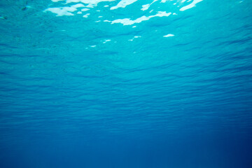 Tranquil underwater scene with copy space