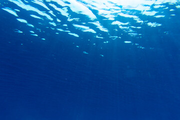 Underwater world landscape