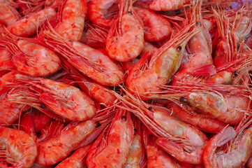  boiled shrimps as a background