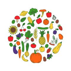 Fruits and vegetables colorful doodles set in circle