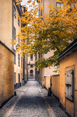 Fototapeta na wymiar STOCKHOLM, SWEDEN - October 14, 2016: View from narrow and idyllic street with colorful buildings in Gamla Stan. The Old Town in Stockholm, Sweden. Cloudy day.