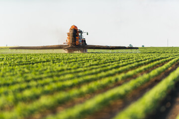 Fototapeta premium Tractor spraying soybean field at spring
