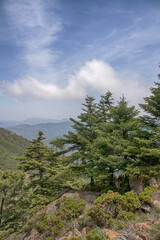 parque natural de pinsapos en sierra Bermeja, Málaga
