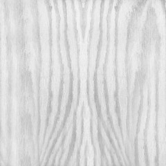 Fototapeta na wymiar gray wood texture background; Wood background or texture