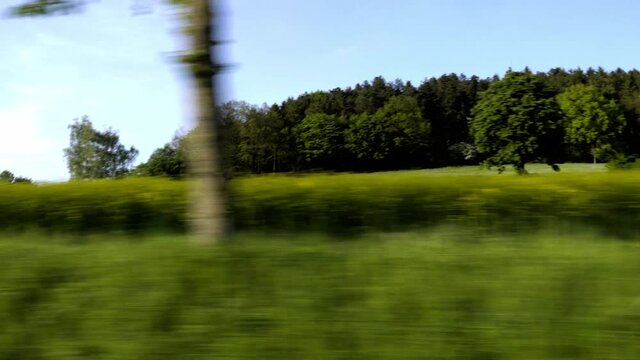 Film aus dem fahrenden Auto mit Rapsfeldern,  , Landschaftspanorama