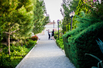 Green trees grow in the park