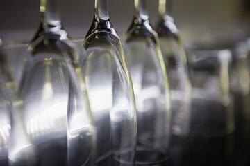 Row of wine glasses on shelf