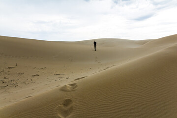 Fototapeta na wymiar Big sand dunes in woody cape section of Addo Elephant Park