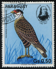 bird Paraguay stamp