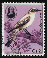 bird Paraguay stamp