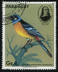 bird Paraguay stamp