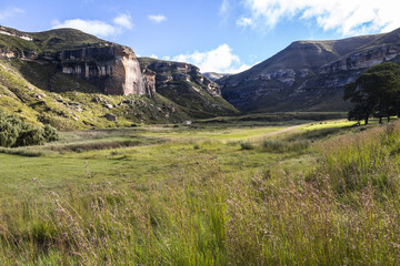 Fototapeta premium Beautiful landscape in Golden Gate Park, South Africa