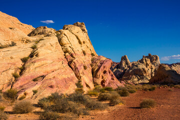 paysage américain