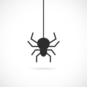 Spider vector icon