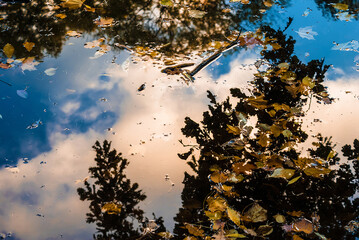 Reflection of trees, sky and clouds in a pond in the autumn park.