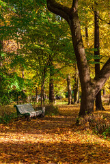 Naklejki  Aleja z pustą ławką w jesiennym parku.