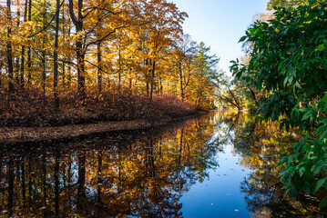 Pond in the autumn park with trees reflected in it.