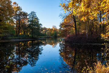 Fototapeta premium Pond in the autumn park with trees reflected in it.