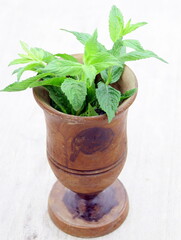 feuilles de menthe bio fraîches dans mortier en bois