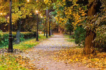 Night view of illuminated alley in the autumn park.