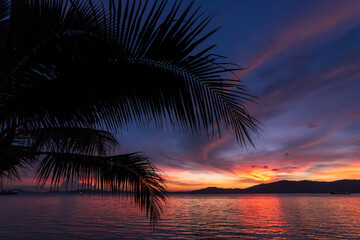 Fototapeta na wymiar Tropical sunset and foreground Silhouette coconut palm trees on beach