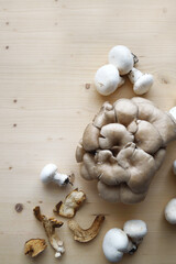 Mushrooms