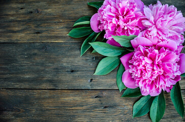 Floral frame with pink peonies flowers on wood background. Selective focus, place for text, top view