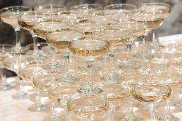 A lot of wine glasses with a cool delicious champagne or white wine at the bar. Alcohol background.