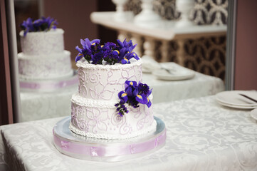 Fototapeta na wymiar Wedding details - wedding cake