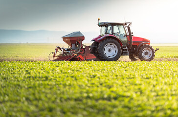Fototapeta premium Farmer with tractor seeding - sowing crops at agricultural field in spring