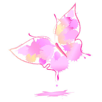 beautiful pink butterfly watercolor,isolated on a white