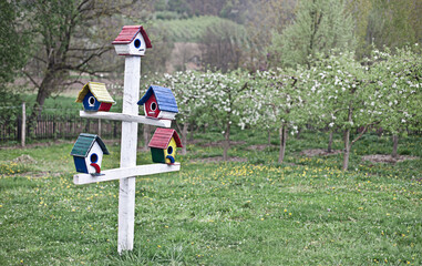 Bird houses in the garden