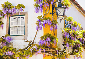 Colorful house facade with flowers, Portugal