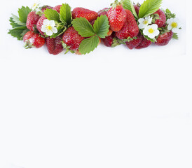 Ripe strawberries at border of image with copy space for text. Berries on white background. Top view