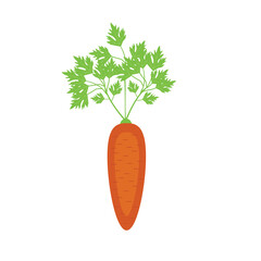 Carrot icon isolated on white background. Veg icon illustration. Carrot, vegetable, food, vector flat style. Vector orange flat carrot icon.