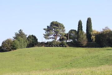 Fototapeta premium Landscape