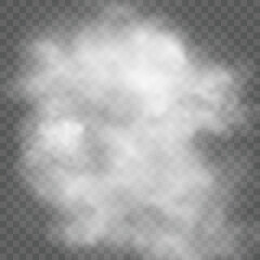 Transparent cloud vector illustration