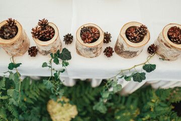 Billets of wood with cones stand on white dinner table