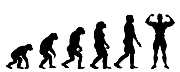 Vector silhouette of evolution of man.